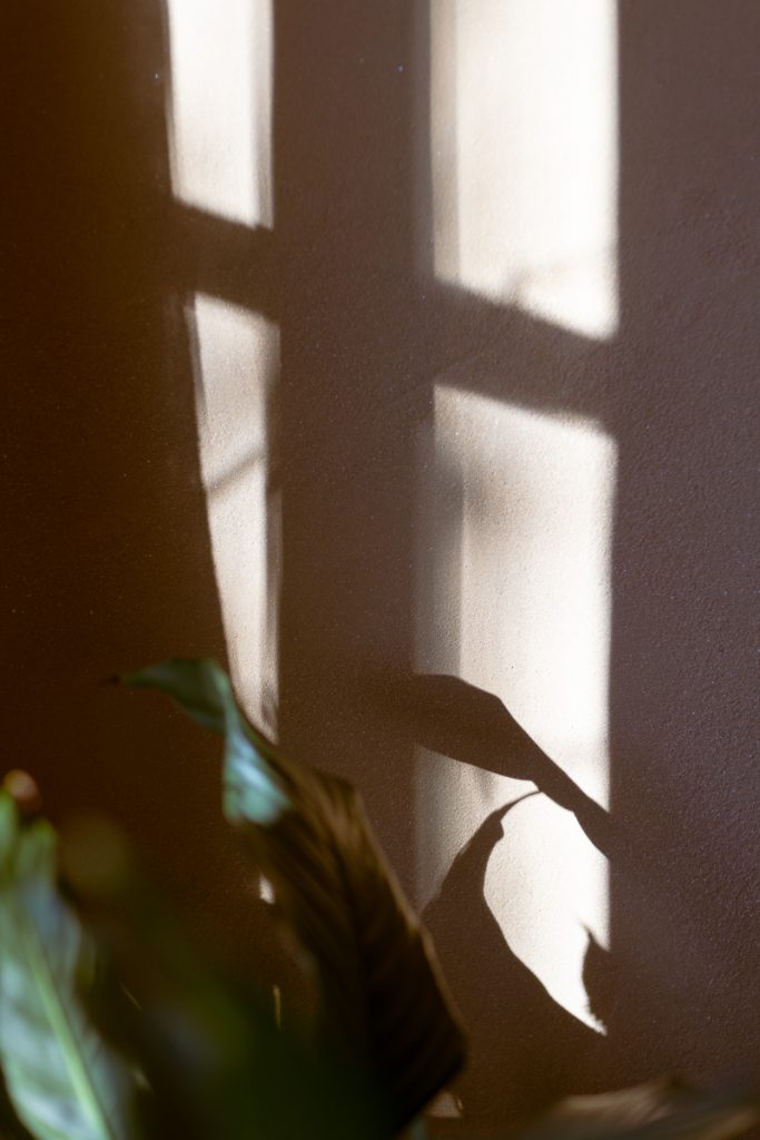 Praxis für biodynamische Osteopathie